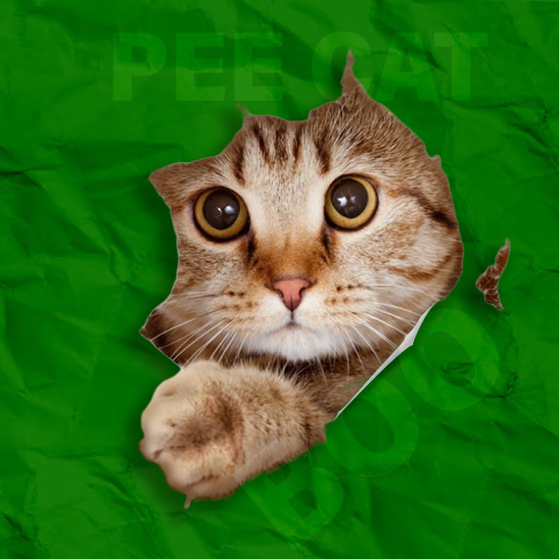 Pee Cat Boo