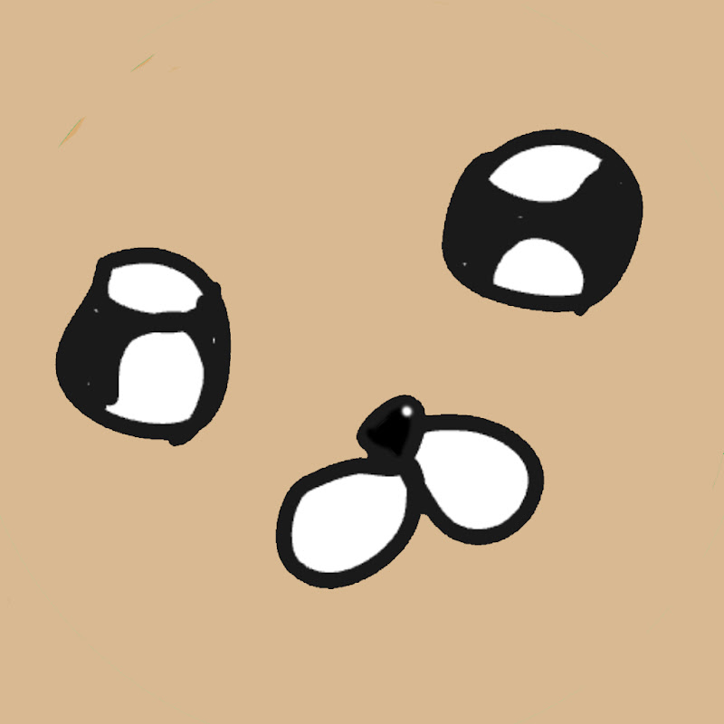 코라니 avatar