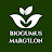 Biogumus Marg'ilon