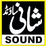q_B39V5lAkM-channel-avatar-Shani Sound