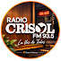 sTewWr9o7Xc-channel-avatar-Radio CRISOL 93.5 Oberá