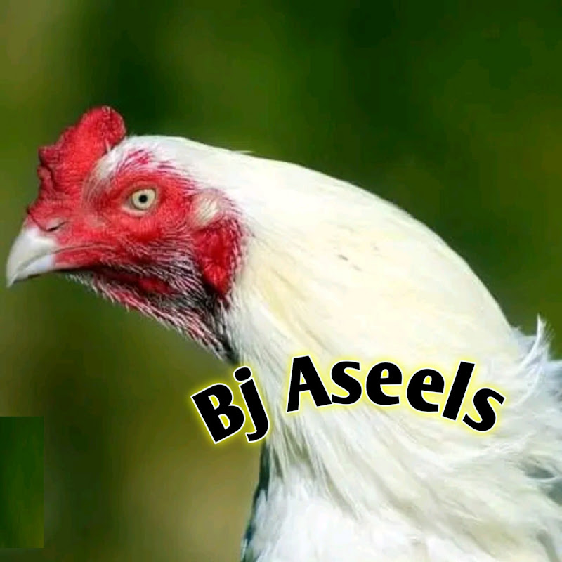 Bj Aseels