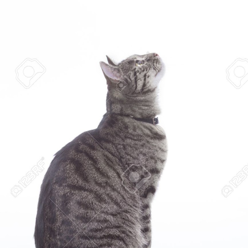 인간말고 avatar