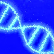 Cellular health lab