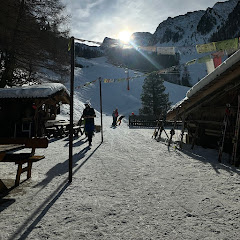 Alpine