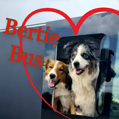 Bertie Bus Avatar