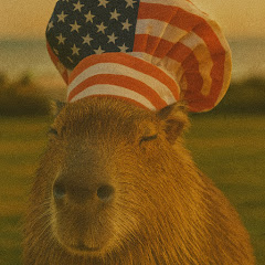 CapybaraUFO