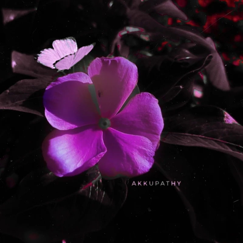 Akkupathy photography