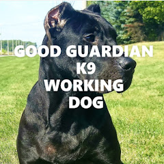 GOOD GUARDIAN K9 (Working Dog) net worth