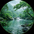 6XZmcl7n8-8-channel-avatar-Evergreen Rain