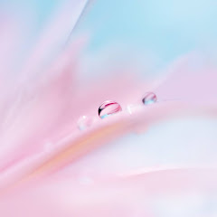LIFE FORCE〜強く美しく生きる〜アイコン画像