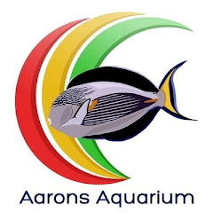 Aarons Aquarium Avatar