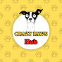 Crazy Paws Hub 