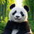 @goodpanda6901
