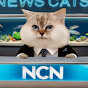 News Cats logo