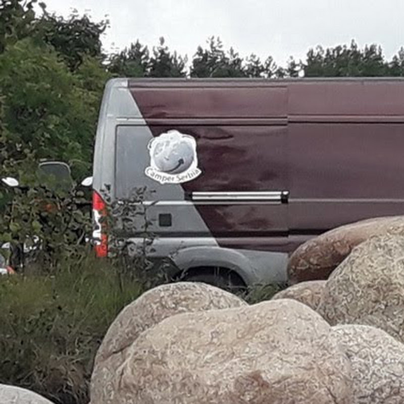 Kamper Miša Janković