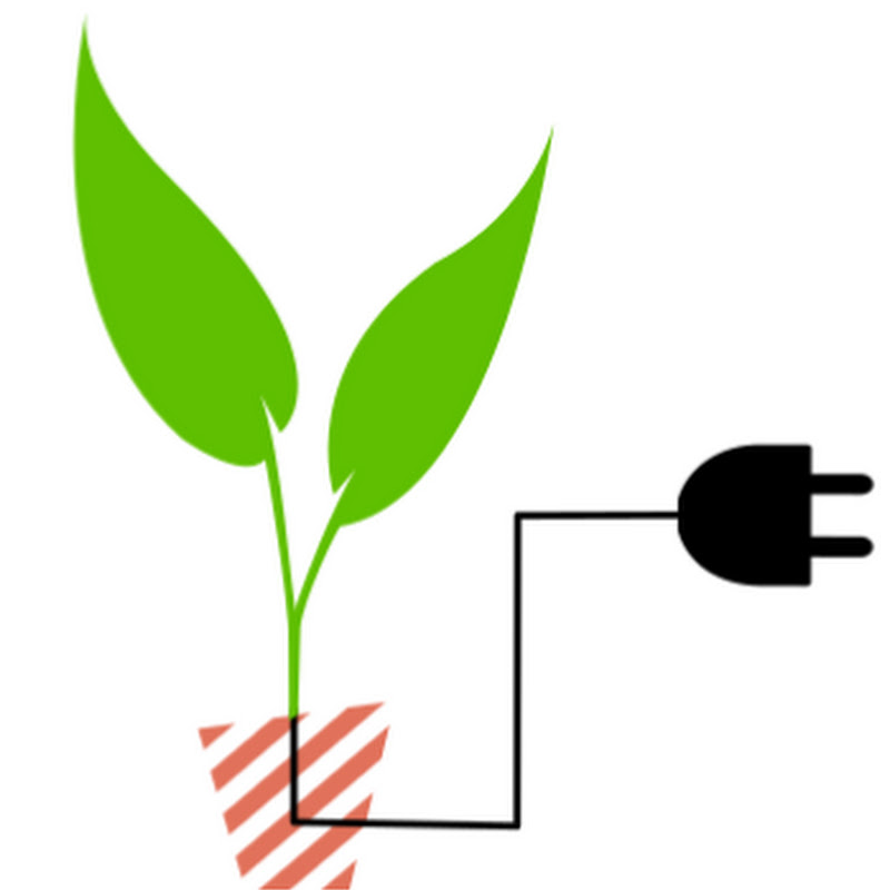 ElectricVeg icon