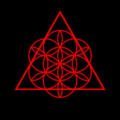 ブラックストーリー