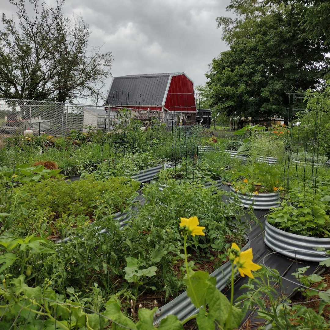 Post from Three Rivers Homestead