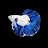 @Sayanbiswas635 Avatar