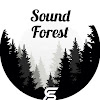 What could SoundForest ???? buy with $809.79 thousand?