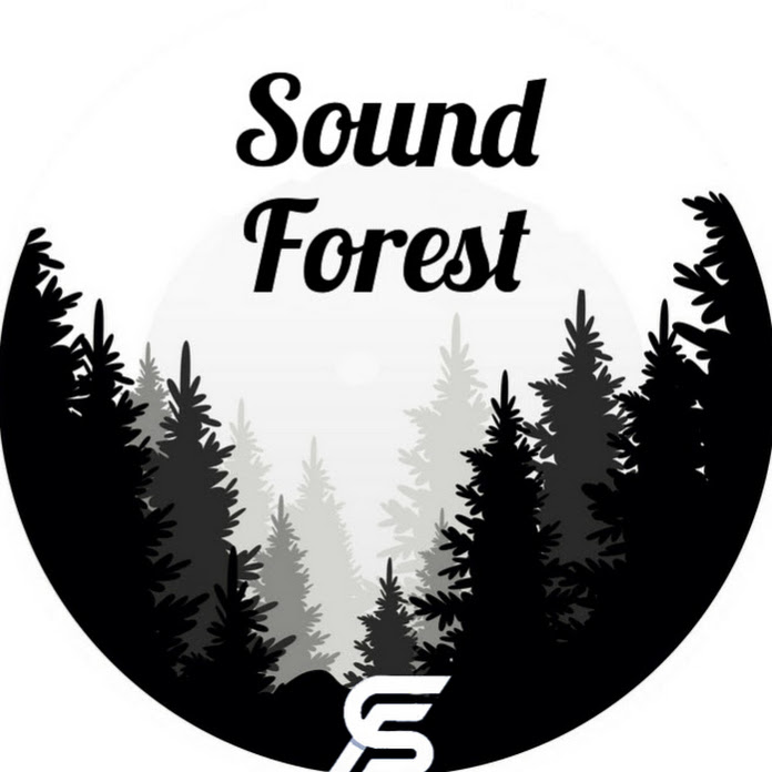 SoundForest ???? Net Worth & Earnings (2024)