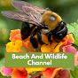 Beach and Wildlife Channel logo
