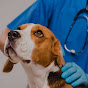 Auxiliar Veterinário logo