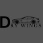 Dry Wings logo