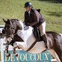 Passion Equitation logo