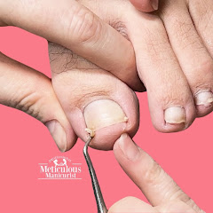The Meticulous Manicurist Nail Tutorials net worth