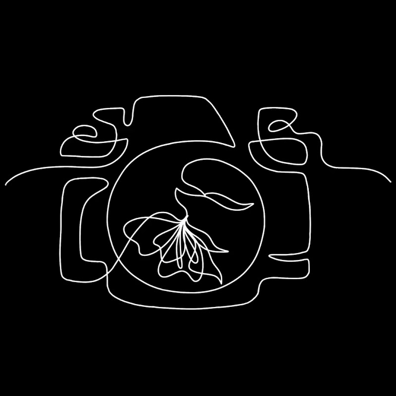 Scents Through My Lens