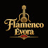 VL-44I0u6dA-channel-avatar-Flamenco Évora