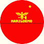 NARILDEMO logo