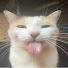 vWeAJmvE_xY-channel-avatar-N M