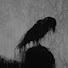 80rwvm7ASGc-channel-avatar-ADAMSTANHEIGHTSBIGGESTFAN
