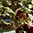 tVbxPPhuPaY-channel-avatar-Erdelfe