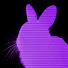 cyp_8bmOoow-channel-avatar-Sof Loves Cinema