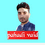 Pahadi vaid logo