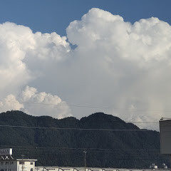 不定期 とうや