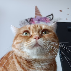 メンメンチャンネルアイコン画像