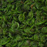 lD7yulWZxOs-channel-avatar-Fiddlehead Tech