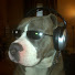oeuYLLN1AOY-channel-avatar-Noisy Doug