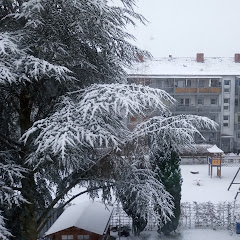 Wetter