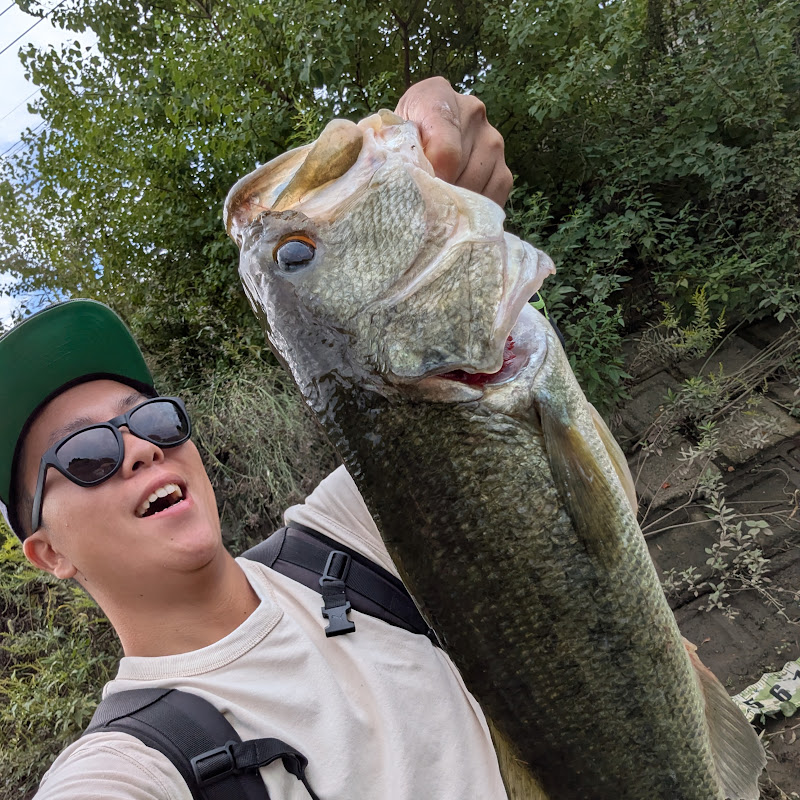 がるしあさん。