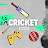 Cricket games lover