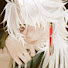 hTLwDonD7ac-channel-avatar-xisarmi