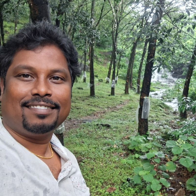 Nellai Solar System for home and agriculture