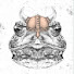 XnK7HdoaMng-channel-avatar-Noble Frog 