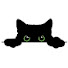 tdPqYBlpvKQ-channel-avatar-Coolio😼 - Chú mèo dễ thương